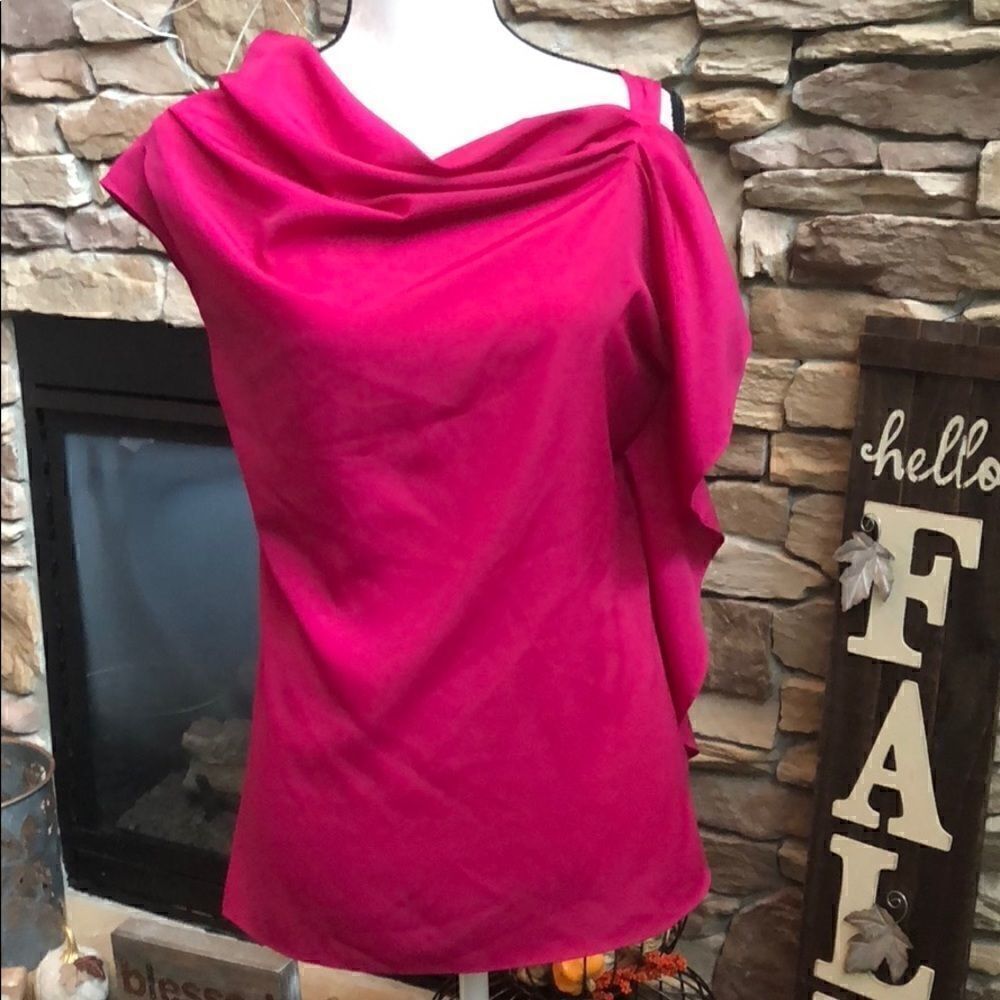 The Limited Fuchsia blouse 👚 size Small
